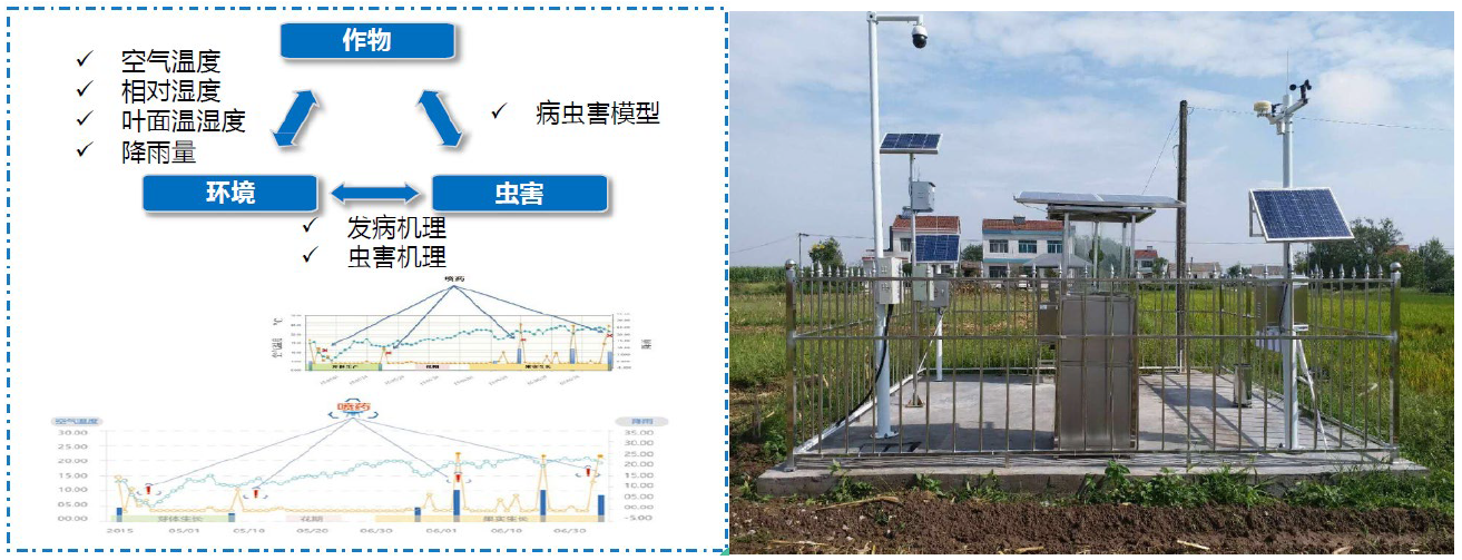 “5G+智慧农业”的农业大数据平台该怎么做？