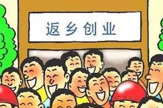 农民不想再外出打工了，手里攒了10万，做什么创业项目好呢？