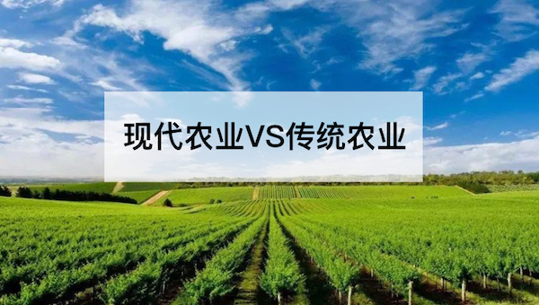 现代农业VS传统农业，谁会更胜一筹？.png